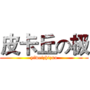 皮卡丘の极 (yiweizhizuo)