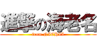 進撃の海老名 (from NICHII)