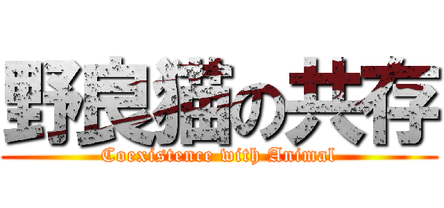 野良猫の共存 (Coexistence with Animal)