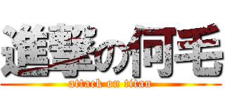進撃の何毛 (attack on titan)