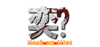 奕玫 (attack on titan)