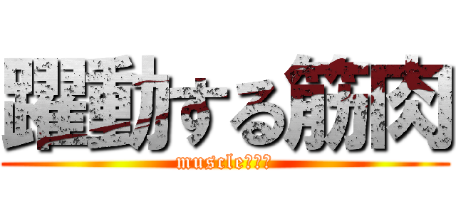 躍動する筋肉 (muscle！！！)