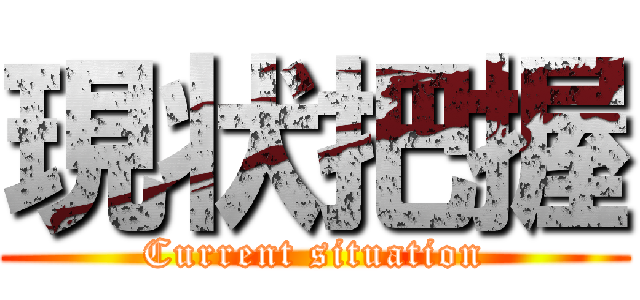 現状把握 (Current situation)