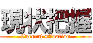 現状把握 (Current situation)