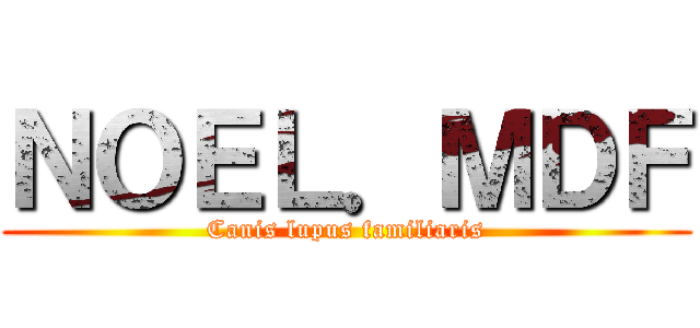 ＮＯＥＬ．ＭＤＦ (Canis lupus familiaris)