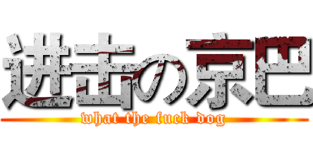 进击の京巴 (what the fuck dog)