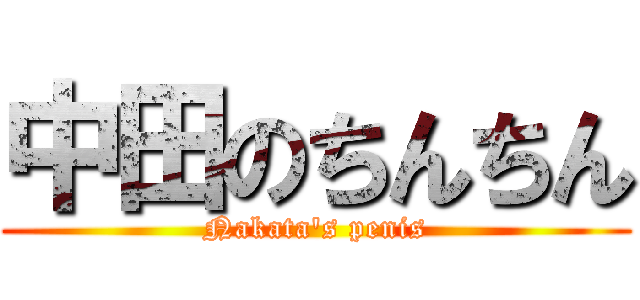 中田のちんちん (Nakata's penis)