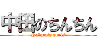 中田のちんちん (Nakata's penis)