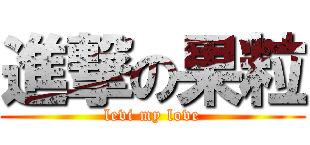 進撃の果粒 (levi my love)
