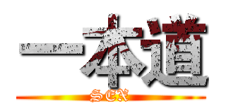 一本道 (SEX)