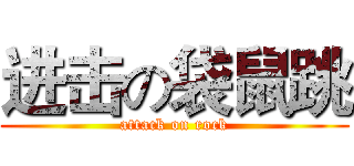 进击の袋鼠跳 (attack on rock)