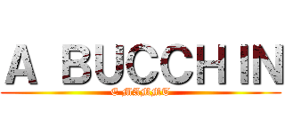 Ａ ＢＵＣＣＨＩＮ (E MAMMT)