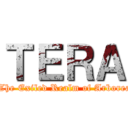 ＴＥＲＡ ( -The Exiled Realm of Arborea-)