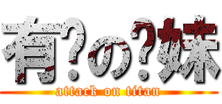 有緣の姊妹 (attack on titan)