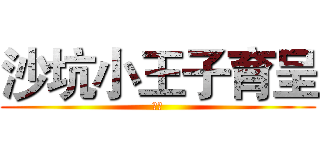 沙坑小王子育呈 (愛打)