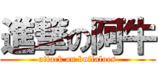 進撃の阿牛 (attack on buffaloes)