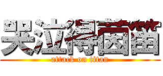 哭泣得茵笛 (attack on titan)