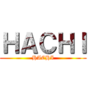 ＨＡＣＨＩ (HACHI)