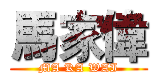 馬家偉 (MA KA WAI)