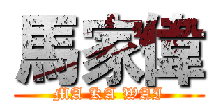 馬家偉 (MA KA WAI)