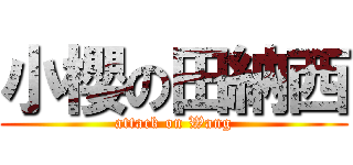 小櫻の田納西 (attack on Wang)