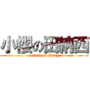 小櫻の田納西 (attack on Wang)