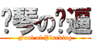 弹琴の傻逼 (Fool of Plucking)