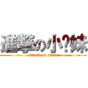 進撃の小师妹 (attack on titan)