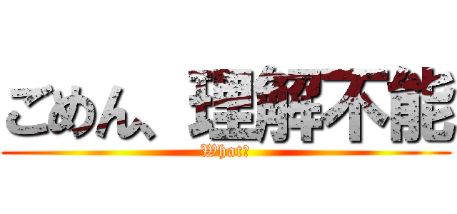 ごめん、理解不能 (What？)