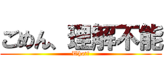 ごめん、理解不能 (What？)