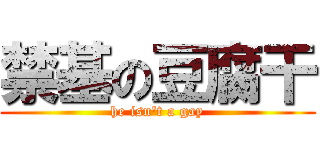 禁基の豆腐干 (he isn\'t a gay)