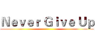 Ｎｅｖｅｒ Ｇｉｖｅ Ｕｐ ()