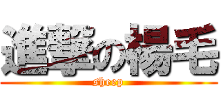 進撃の楊毛 (sheep)