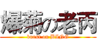 爆菊の老丙 (burst on BING)