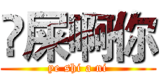 吔屎啊你 (ye shi a ni)