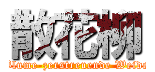 散花柳 (Blume-zerstreuende Weide)