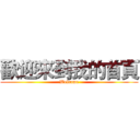 歡迎來到我的首頁 (Welcome)