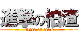 進撃の柏渣 (attack on bitch)