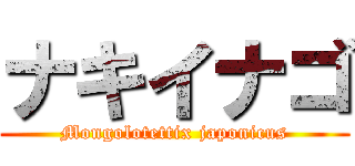 ナキイナゴ (Mongolotettix japonicus)