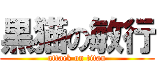 黒猫の敏行 (attack on titan)