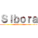 Ｓｉｂｏｒａ (Sibora)