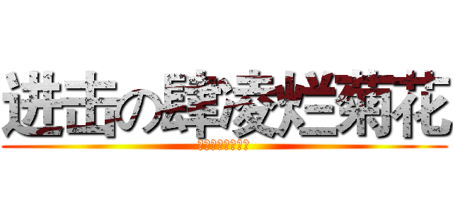 进击の肆凌烂菊花 (进击の肆凌烂菊花)