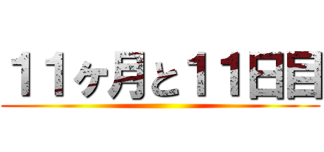 １１ヶ月と１１日目 ()