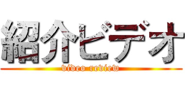 紹介ビデオ (video review)