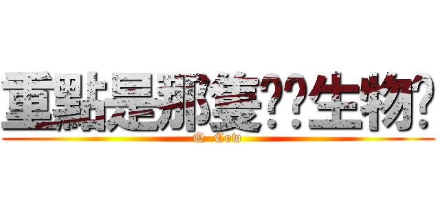 重點是那隻憨憨生物啊 (Q  Cow)