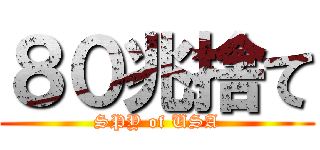 ８０兆捨て (SPY of USA)