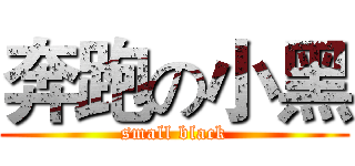 奔跑の小黑 (small black)