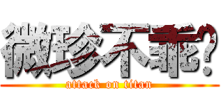 微珍不乖ㄛ (attack on titan)