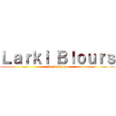 Ｌａｒｋｉ Ｂｌｏｕｒｓ (Lark blouse)