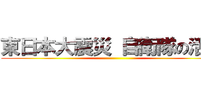 東日本大震災 自衛隊の活動 ()